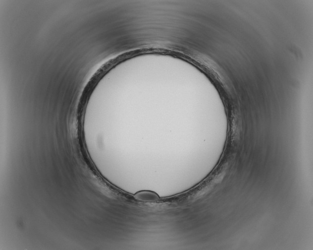 X0000113340924200910131215
