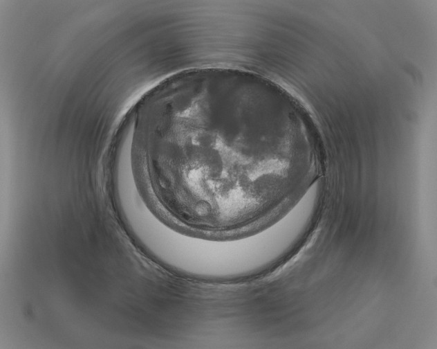 X0000113340925200910131215