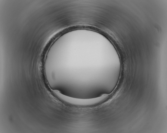 X0000113340926200910131215