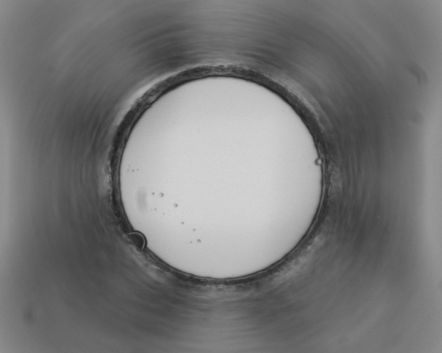 X0000113340927200910131215
