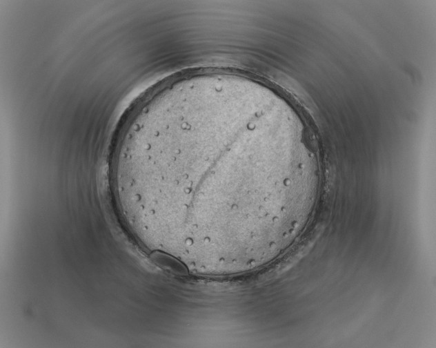 X0000113340928200910131216