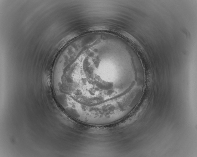 X0000113340929200910131216