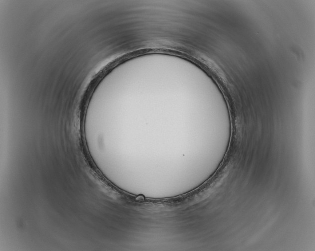 X0000113340931200910131216
