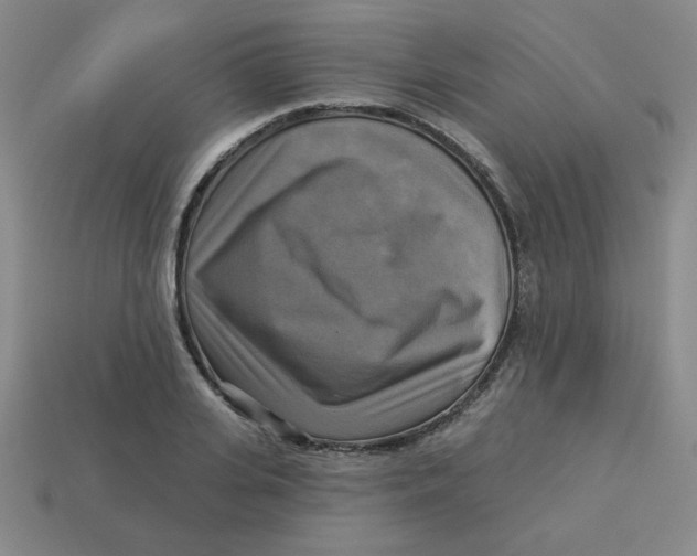 X0000113340935200910131216