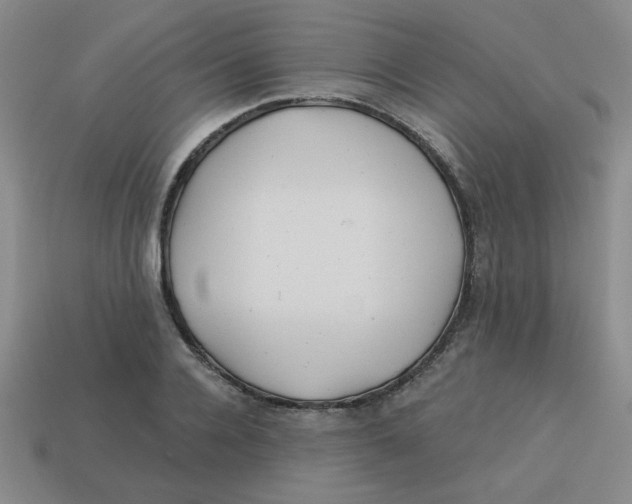 X0000113340936200910131216