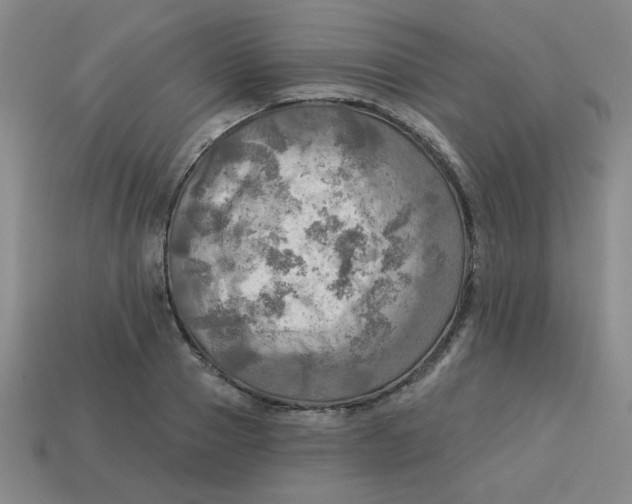 X0000113340937200910131216