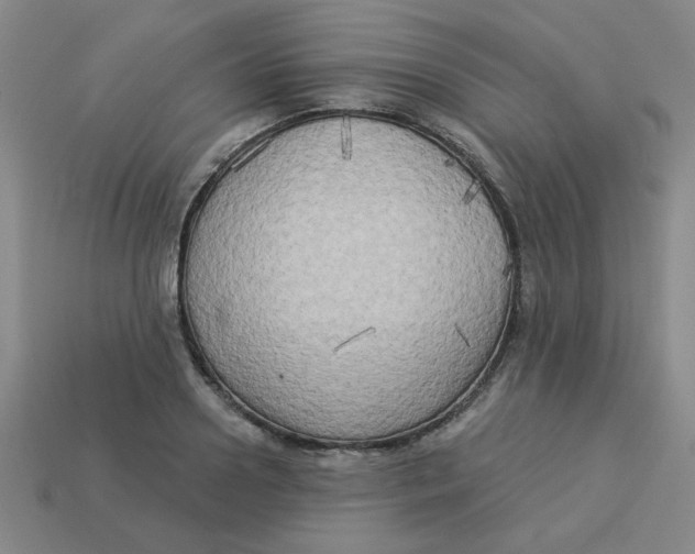 X0000113340938200910131216