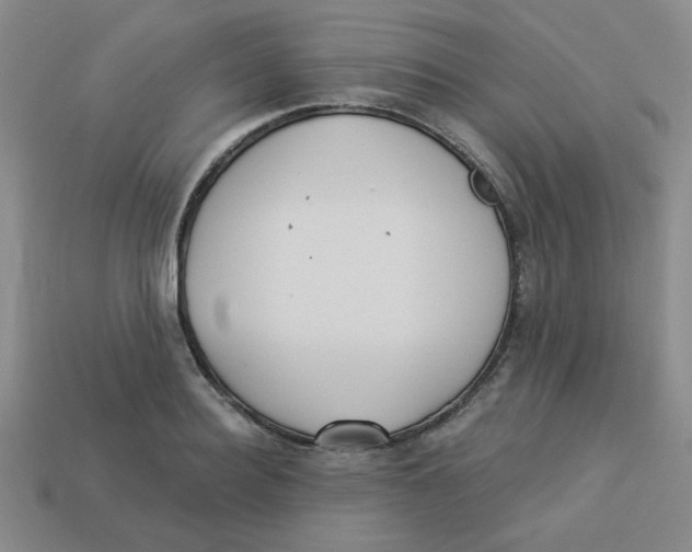 X0000113340940200910131216