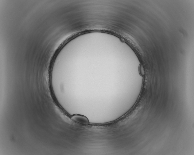 X0000113340942200910131216