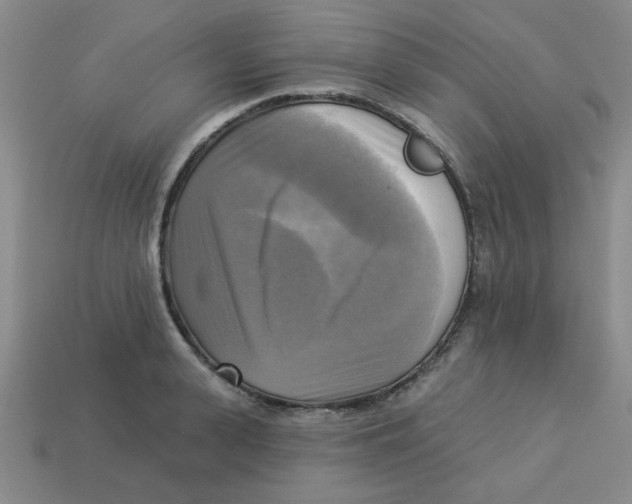 X0000113340943200910131216