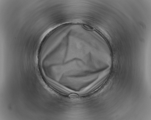 X0000113340944200910131216