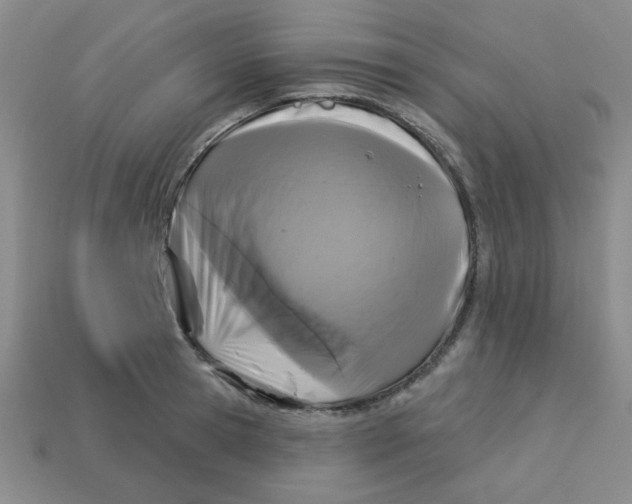 X0000113340945200910131216
