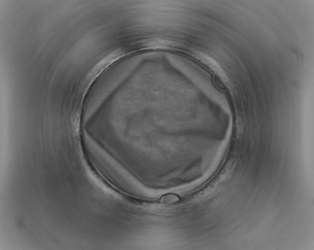 X0000113340946200910131216