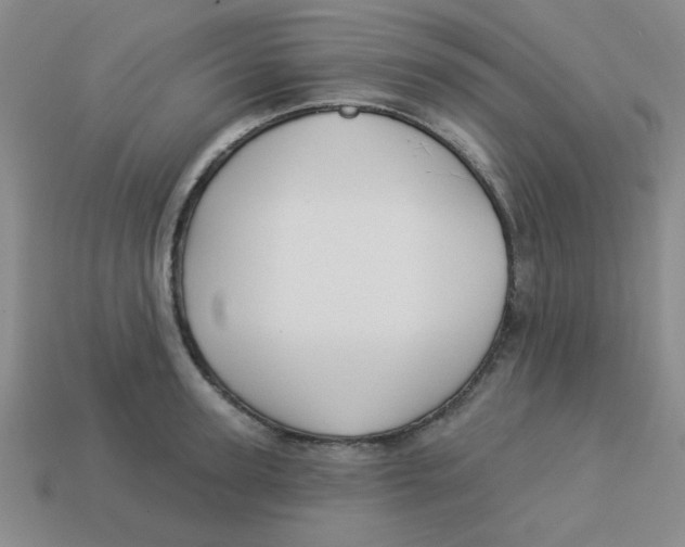 X0000113340947200910131216