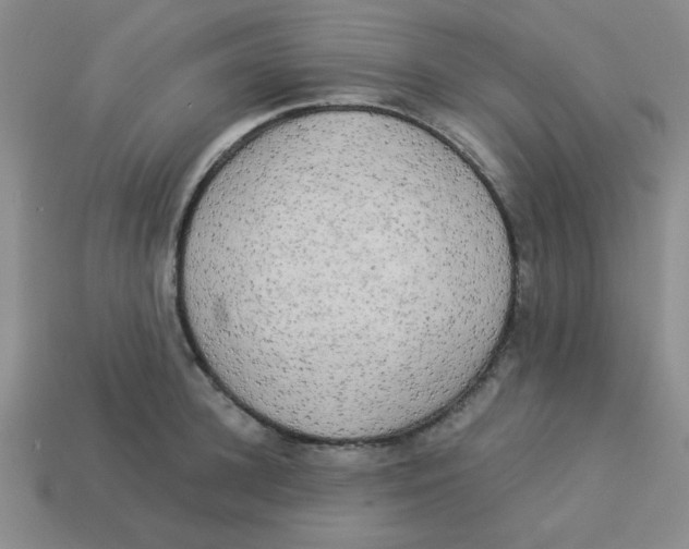 X0000113340948200910131216