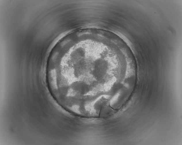 X0000113340949200910131216