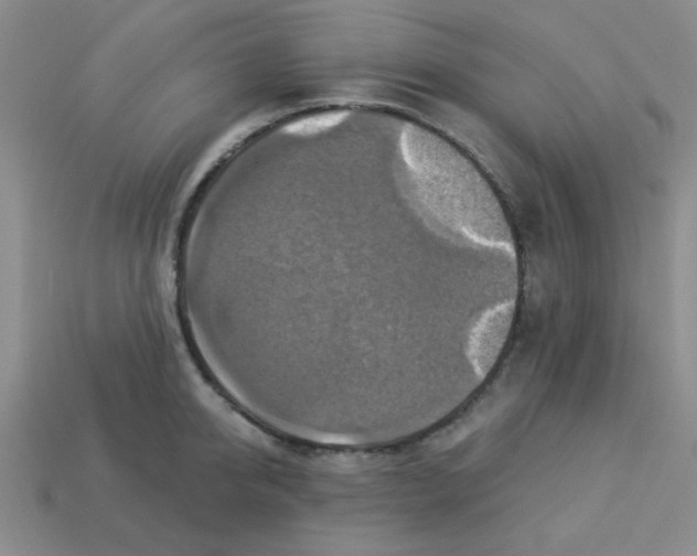 X0000113340950200910131216