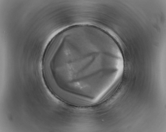 X0000113340951200910131216