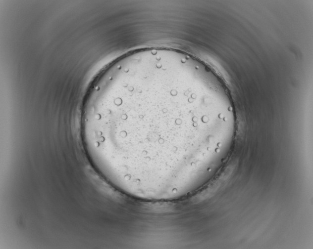 X0000113340952200910131216