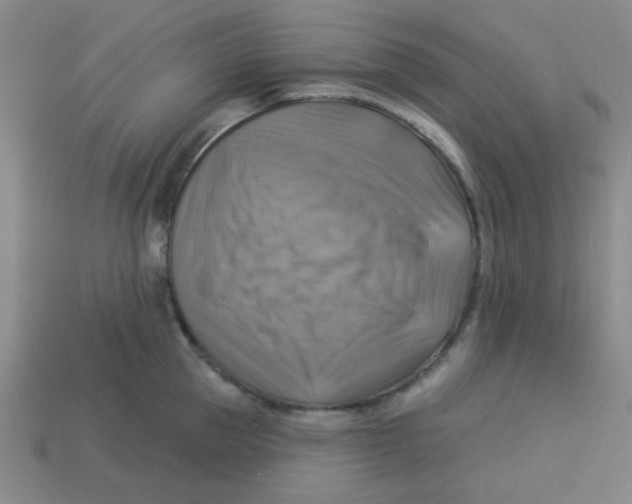 X0000113340953200910131216
