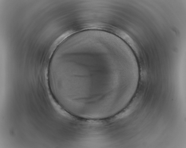 X0000113340954200910131216