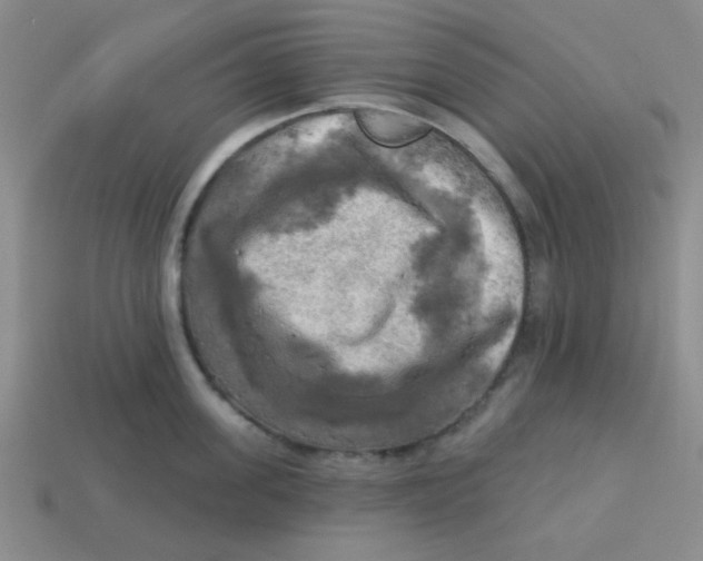 X0000113340955200910131216