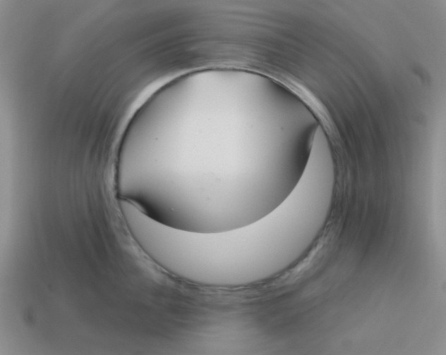 X0000113340956200910131216