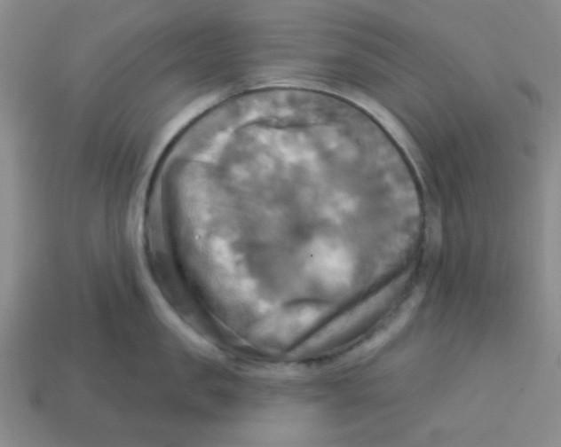 X0000113340957200910131216
