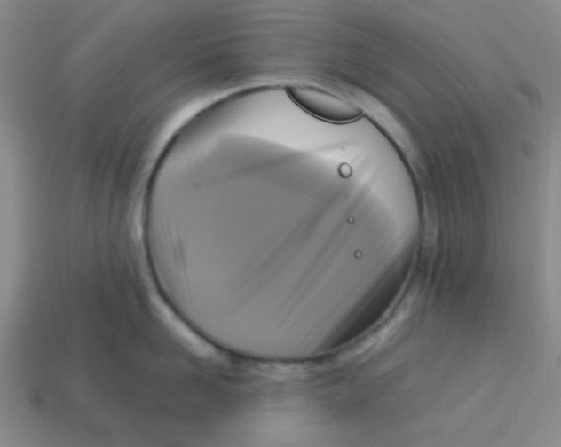 X0000113340958200910131216