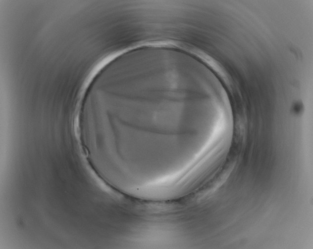 X0000113340959200910131216