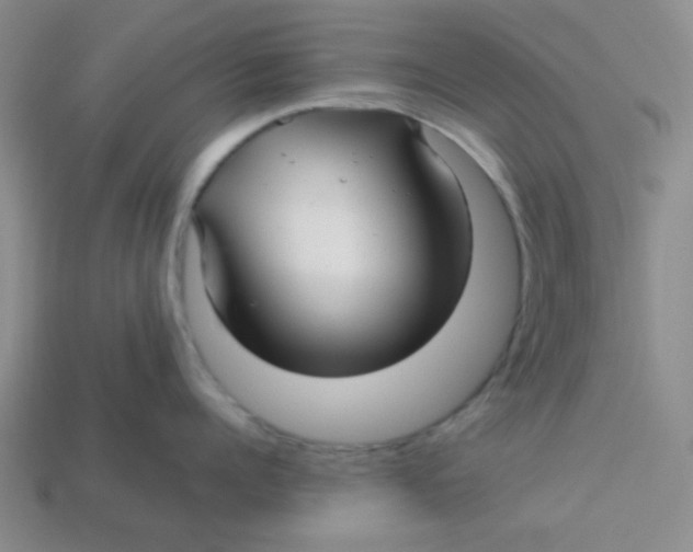 X0000113340960200910131216