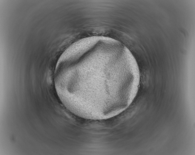 X0000113340962200910131215