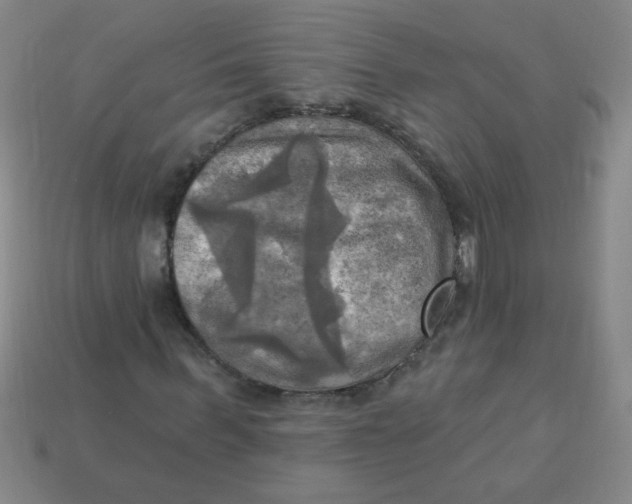 X0000113340963200910131215