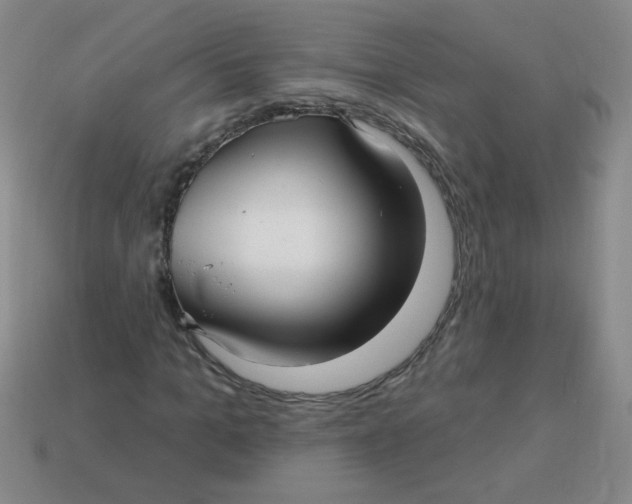 X0000113340965200910131215