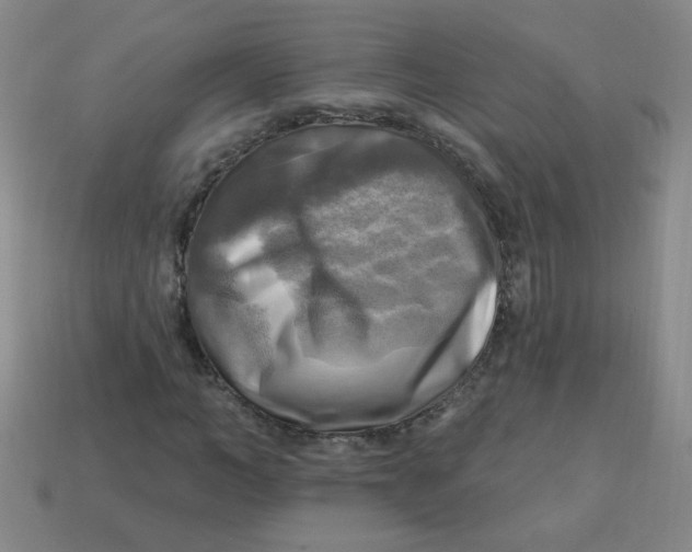 X0000113340966200910131215
