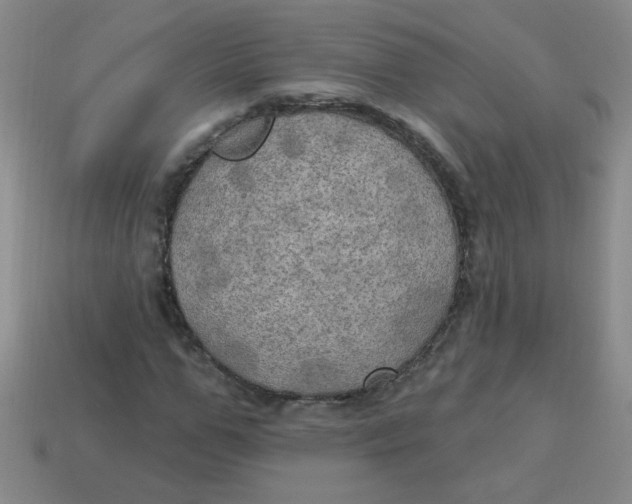 X0000113340967200910131215