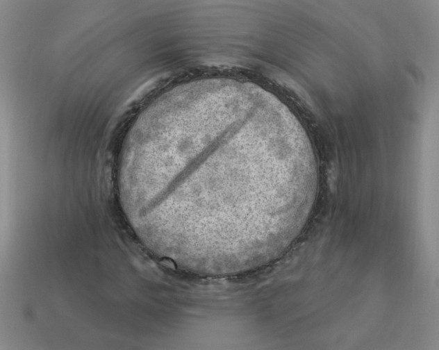 X0000113340968200910131215
