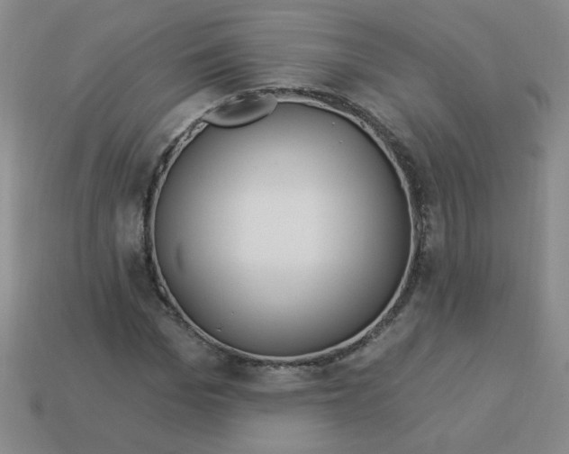 X0000113340969200910131215