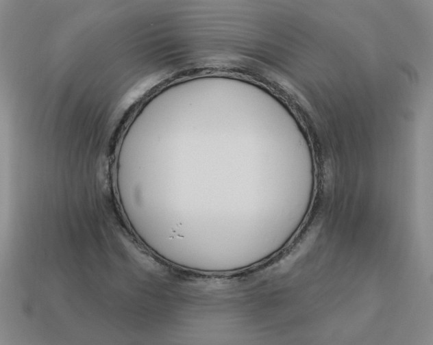 X0000113340970200910131215