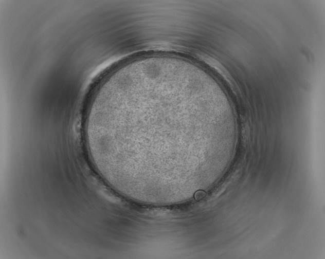 X0000113340971200910131215