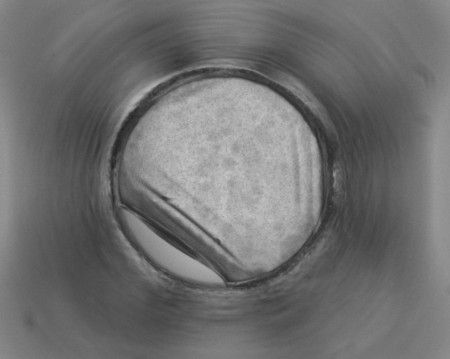X0000113340972200910131215