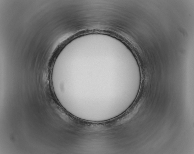 X0000113340974200910131215