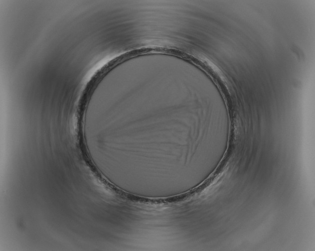 X0000113340975200910131215