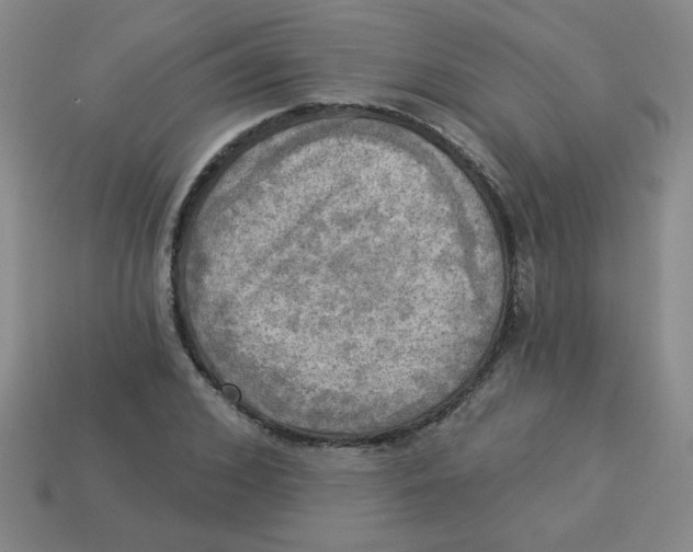 X0000113340976200910131215
