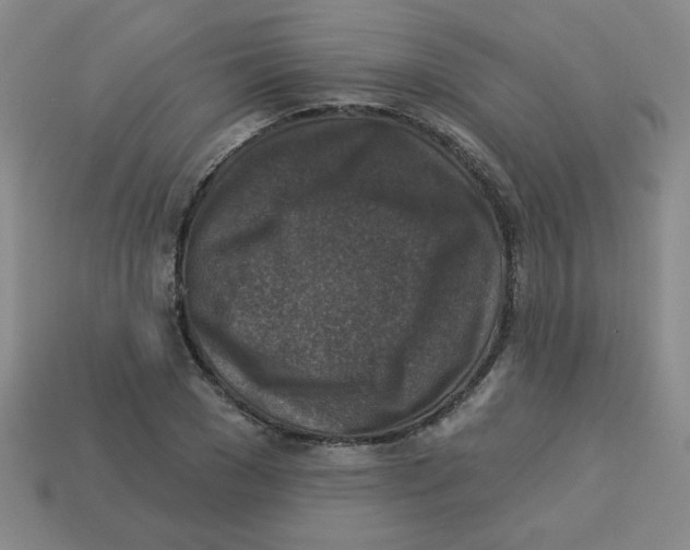 X0000113340977200910131215