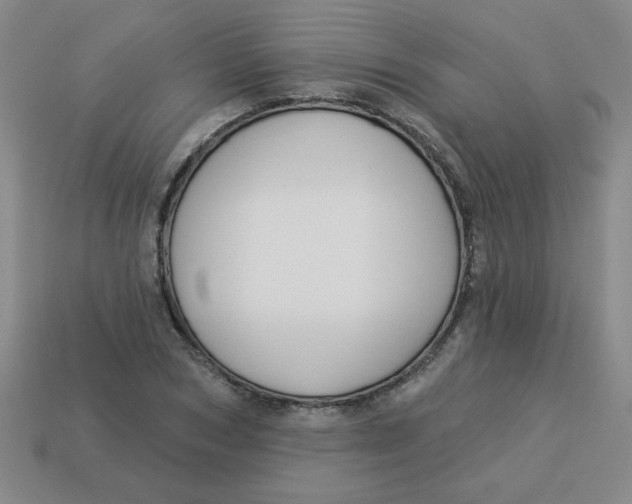 X0000113340978200910131215