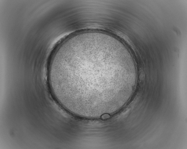 X0000113340979200910131215