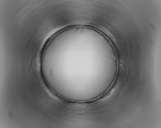 X0000113340981200910131215