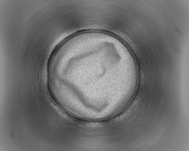 X0000113340982200910131215