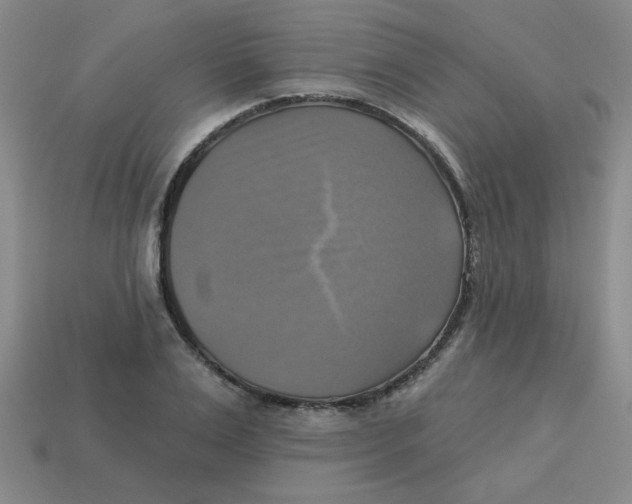 X0000113340983200910131215